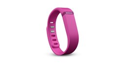 Fitbit Flex