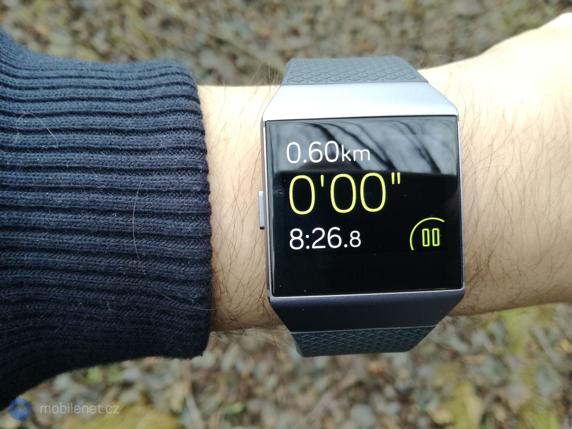 Fitbit Ionic