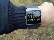 Fitbit Ionic