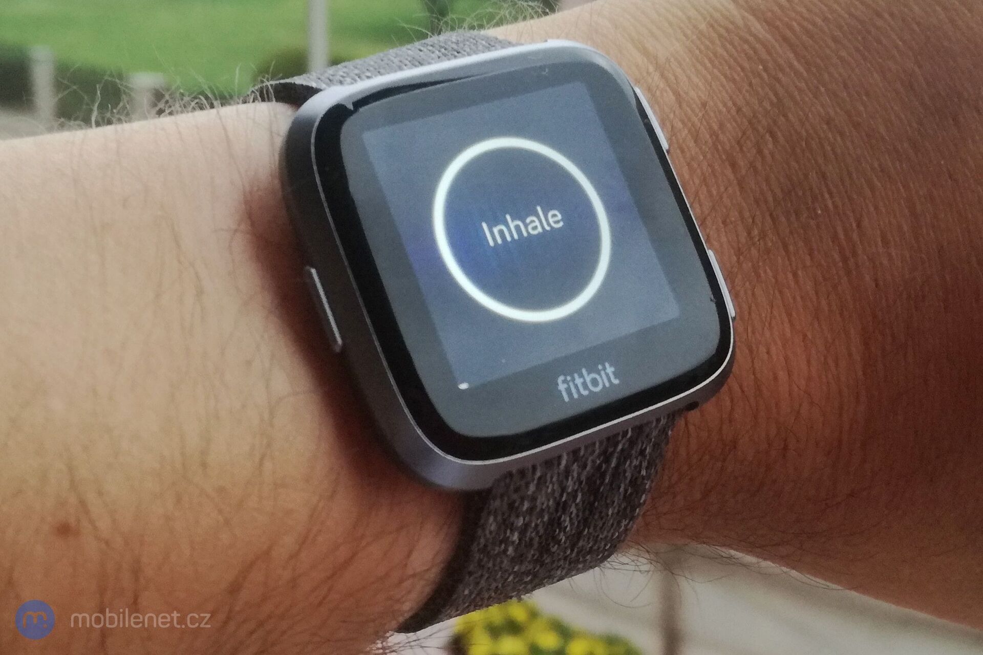 Fitbit Versa