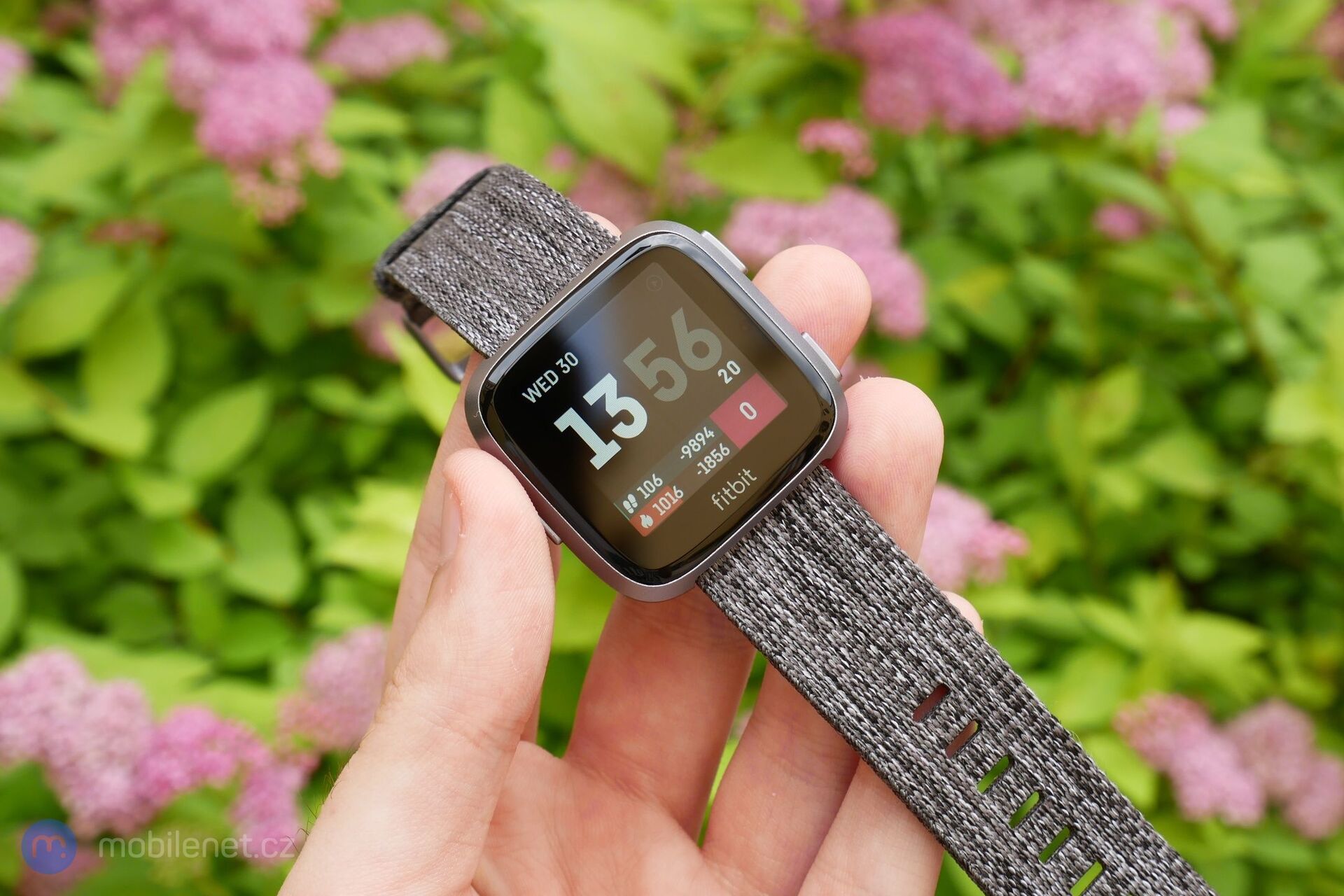 Fitbit Versa