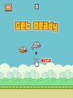 Flappy Bird