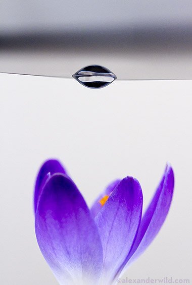 Fotka skrze kapku vody