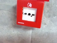 fotografie z Apple iPad 2