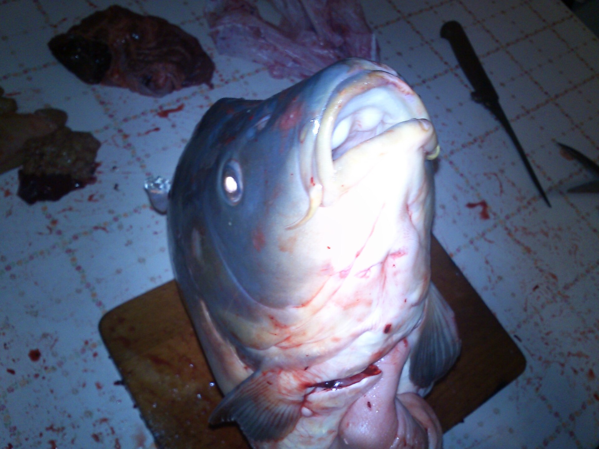 Fotografie ze u Sony Ericssonu Live With Walkman