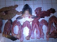 Fotografie ze u Sony Ericssonu Live With Walkman