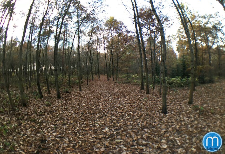 Full-Frame Fish Eye fotka