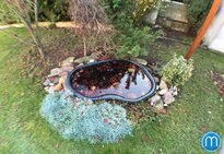 Full-Frame Fish Eye fotka