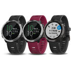 Garmin Forerunner 645