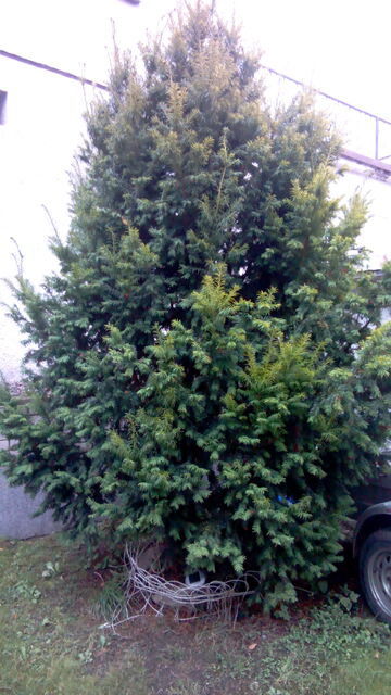 Gigabyte GSmart Arty A3