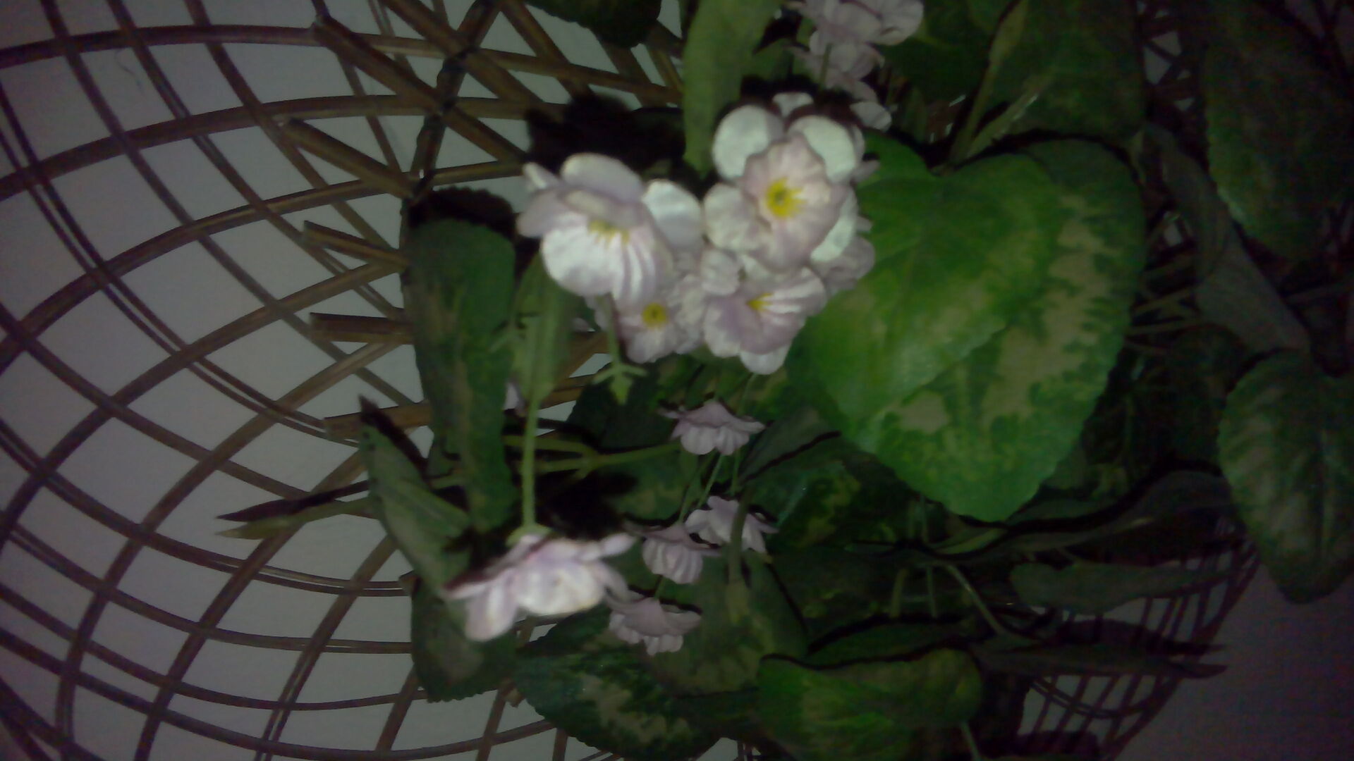 Gigabyte GSmart Arty A3