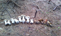 Gigabyte GSmart Tuku T4