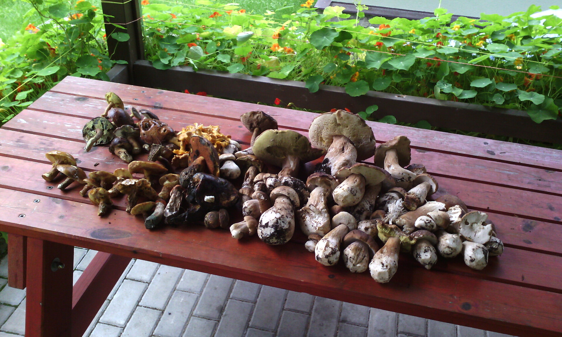 Gigabyte GSmart Tuku T4