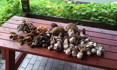 Gigabyte GSmart Tuku T4