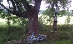 Gigabyte GSmart Tuku T4