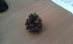 Gigabyte GSmart Tuku T4