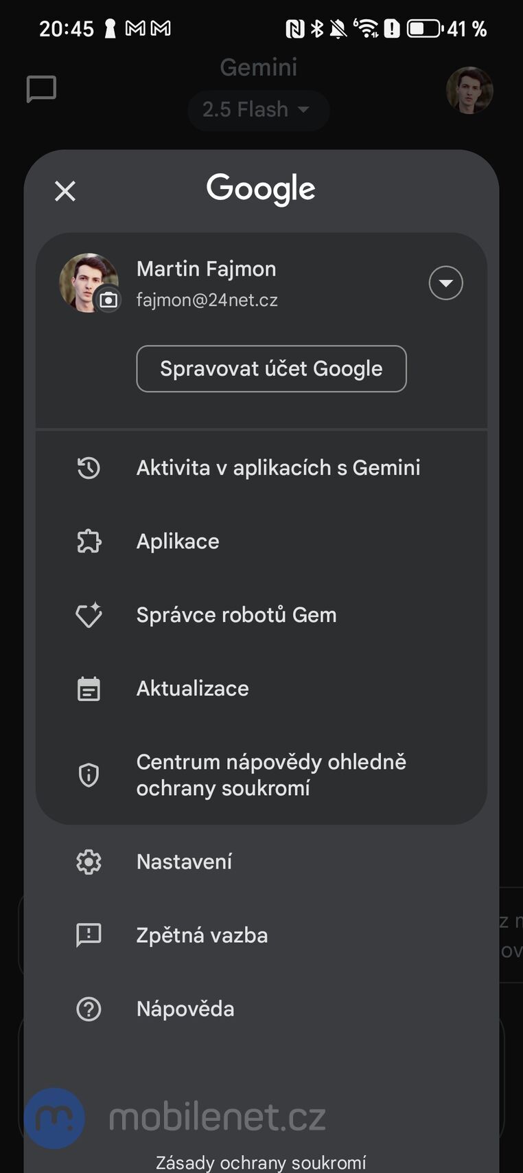 Google Gemini