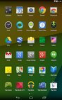 Google Launcher