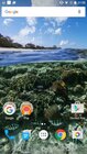 Google Nexus 5X