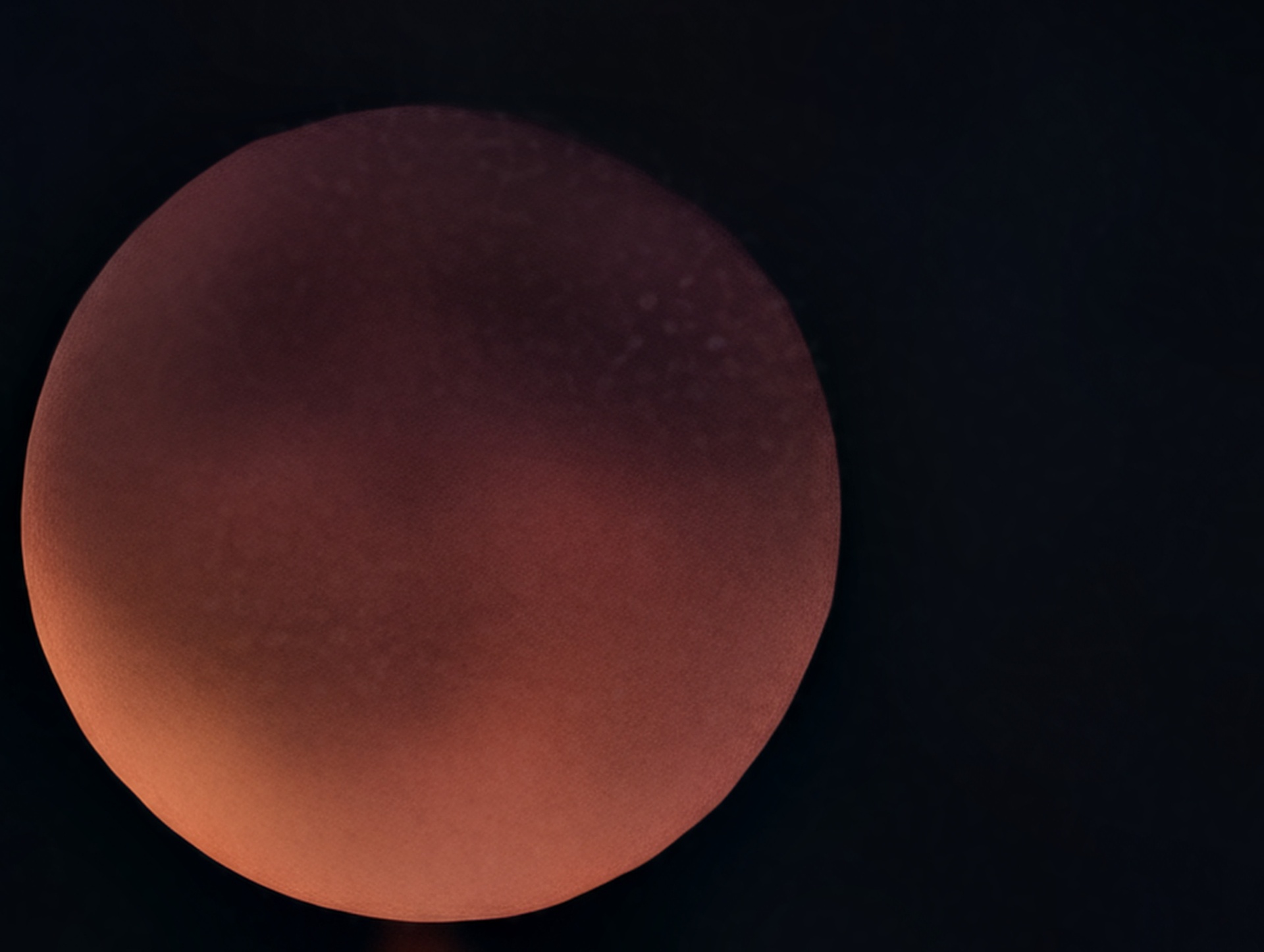 Google Pixel 10 Pro XL