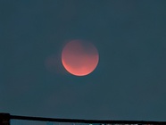 Google Pixel 10 Pro XL