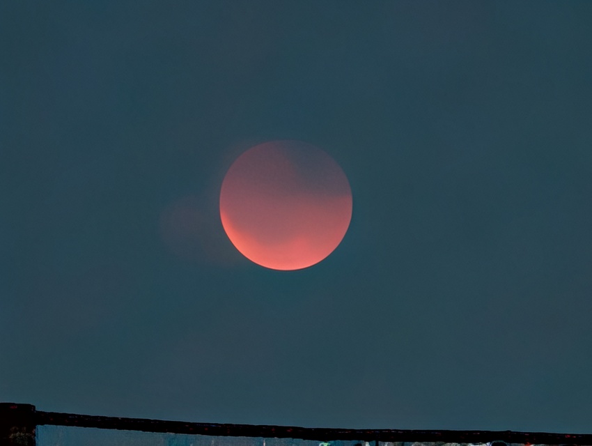 Google Pixel 10 Pro XL