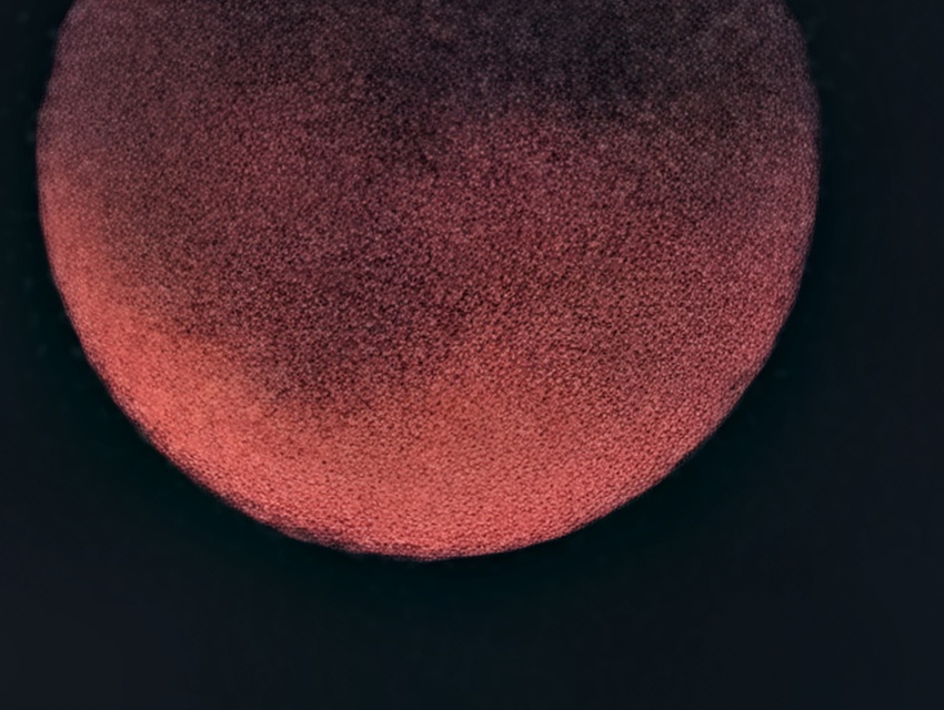 Google Pixel 10 Pro XL