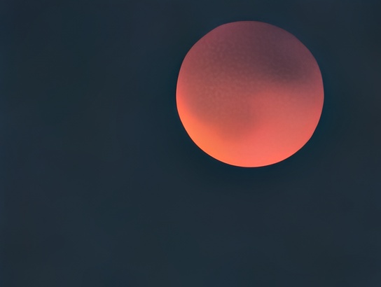 Google Pixel 10 Pro XL