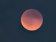 Google Pixel 10 Pro XL