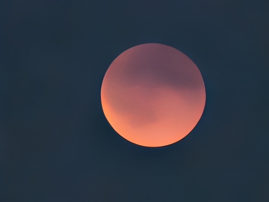 Google Pixel 10 Pro XL