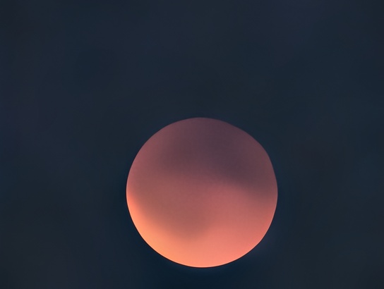 Google Pixel 10 Pro XL