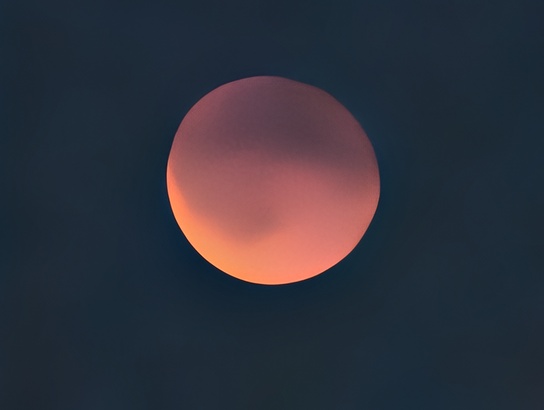 Google Pixel 10 Pro XL