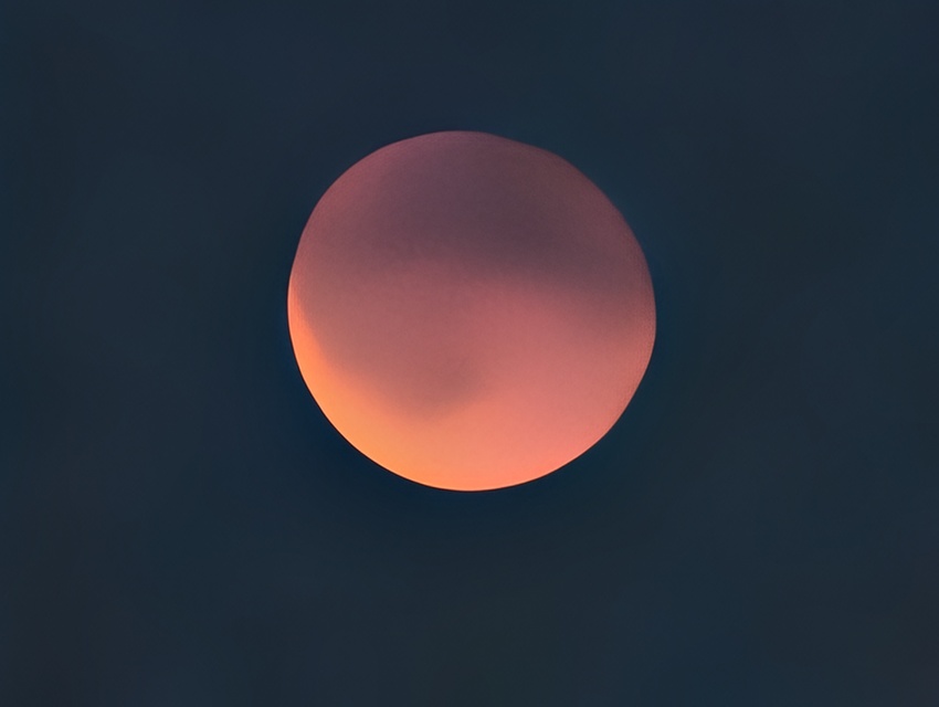 Google Pixel 10 Pro XL