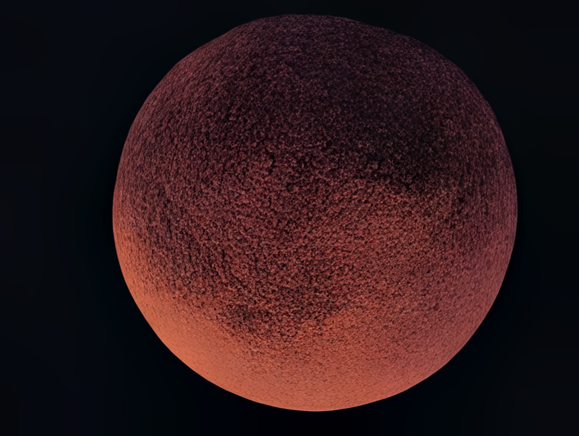 Google Pixel 10 Pro XL