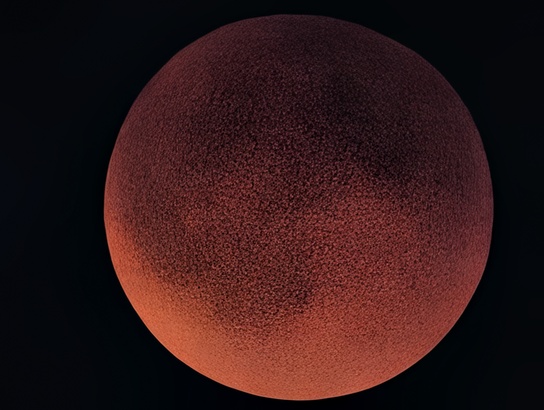 Google Pixel 10 Pro XL