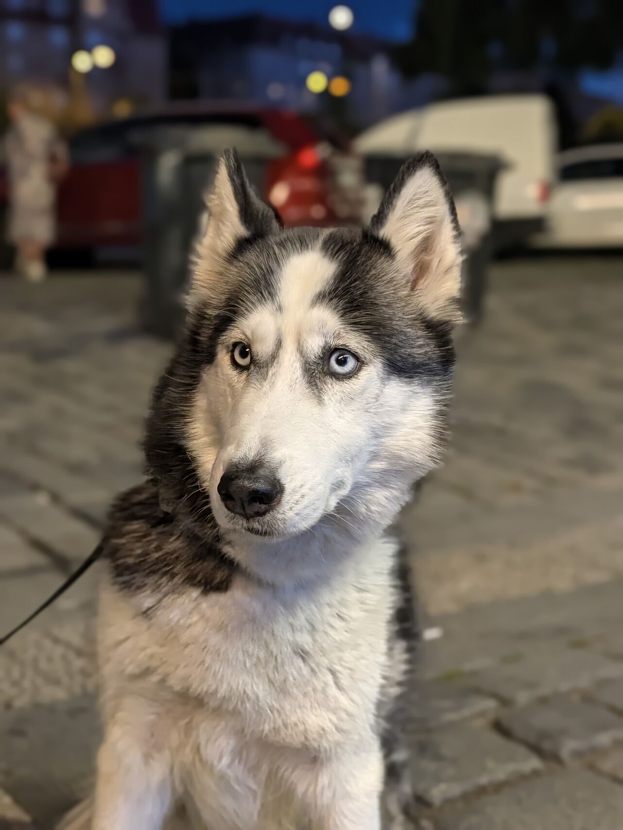 Google Pixel 11 Pro XL