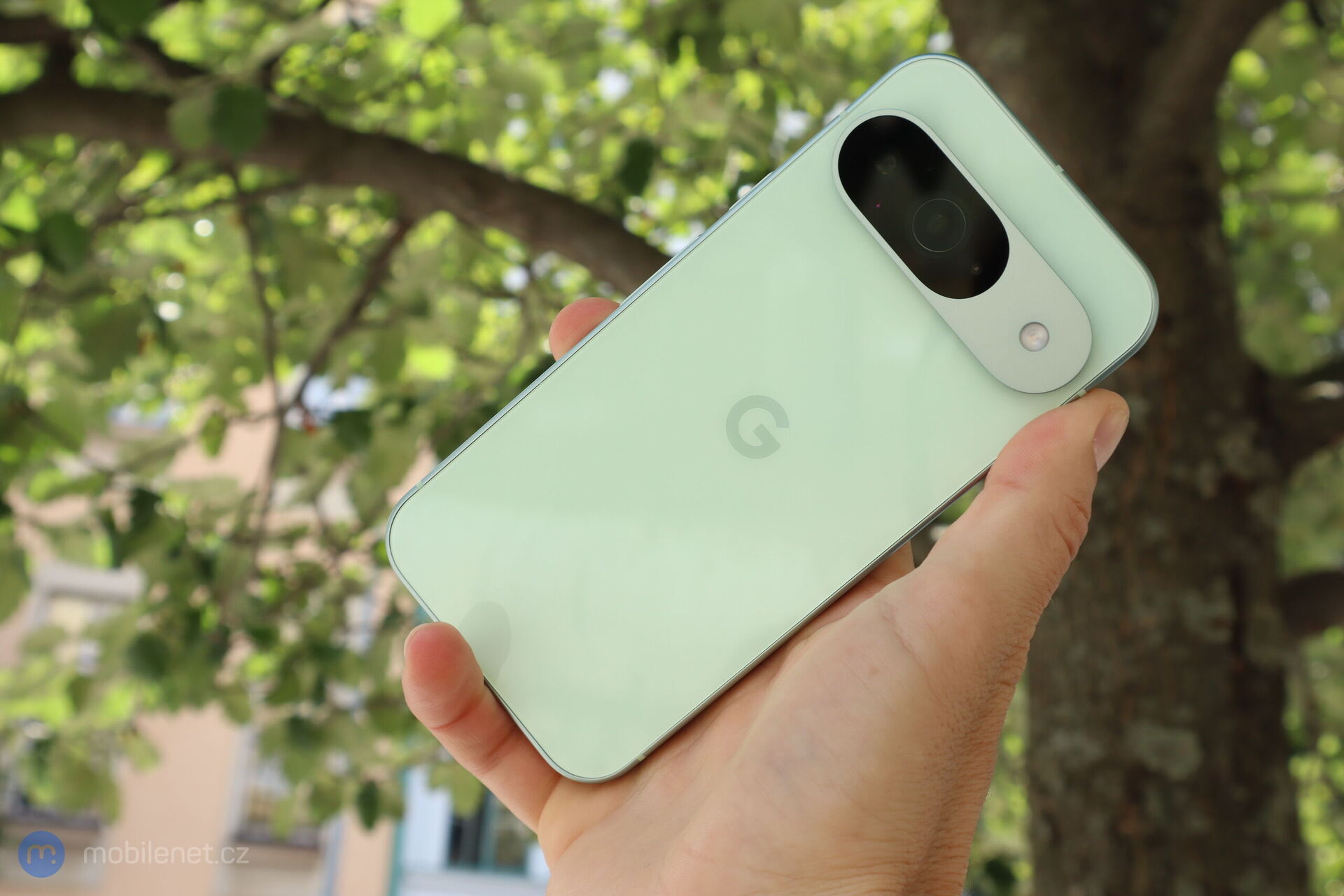 Google Pixel 9