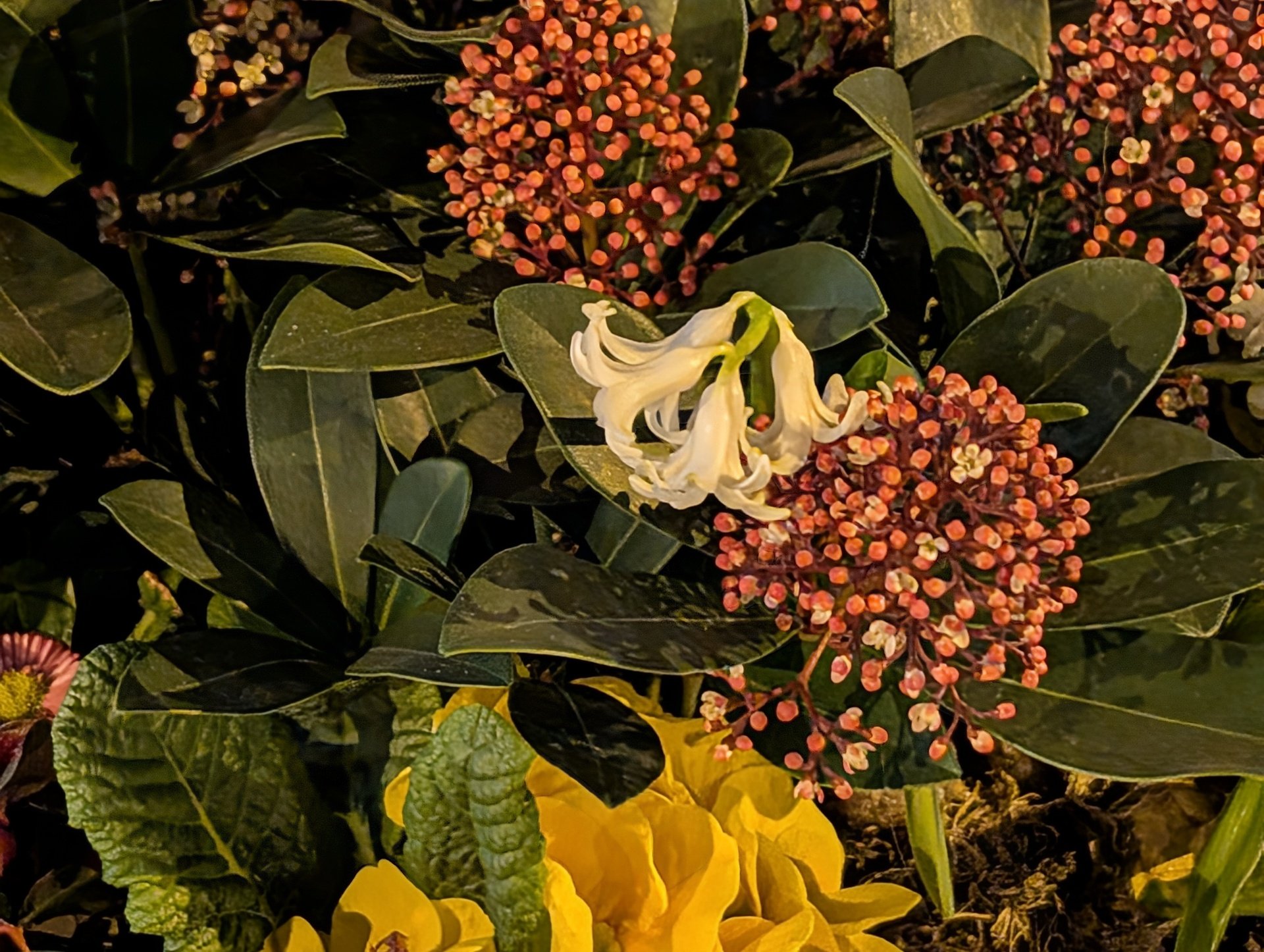 Google Pixel 9 Pro