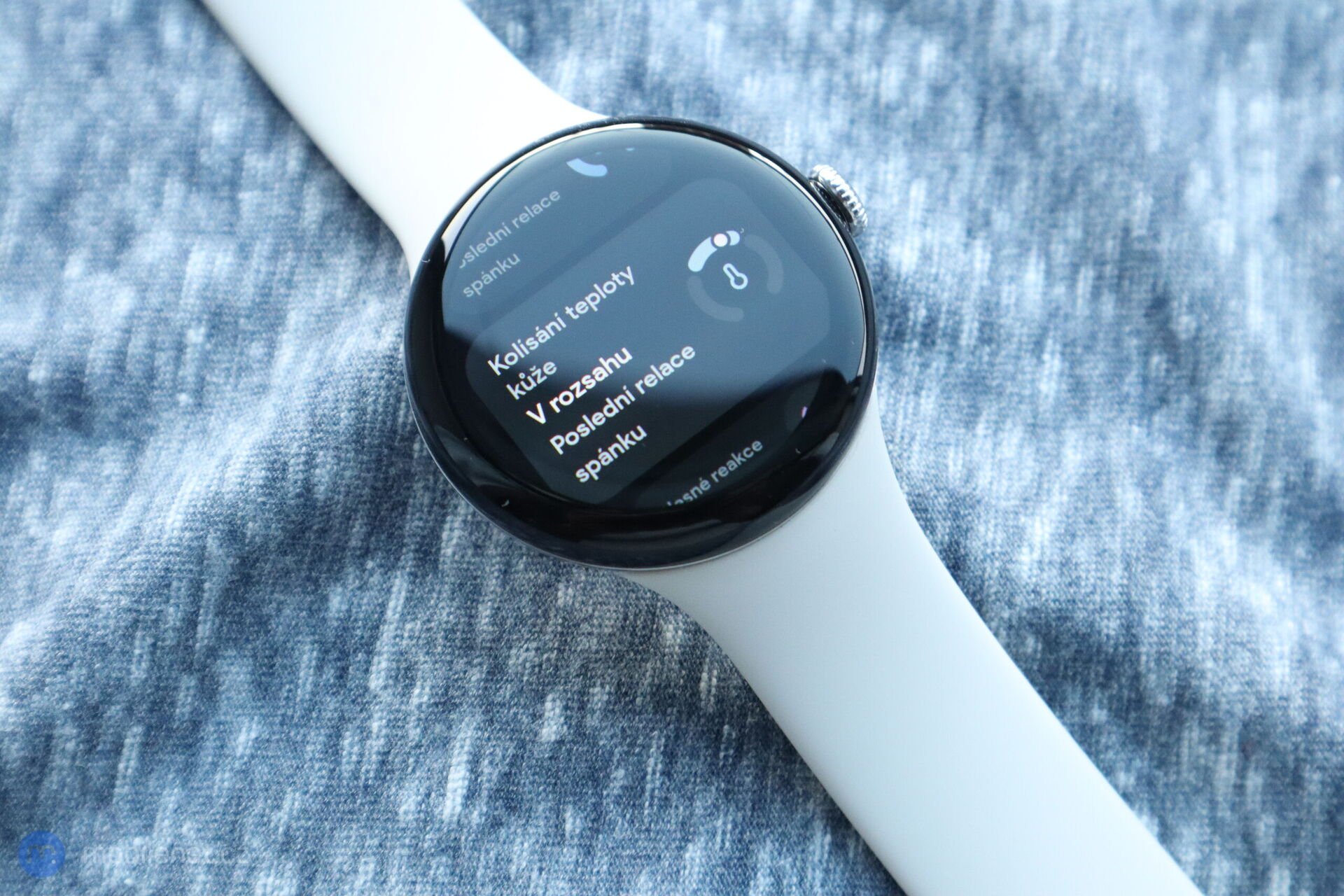 Google Pixel Watch 3 (45 mm)