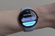 Google Pixel Watch 4 (41 mm)