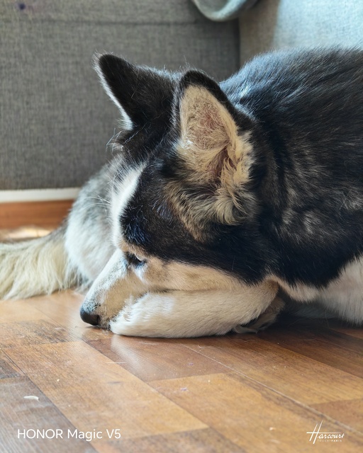 Honor Magic V5