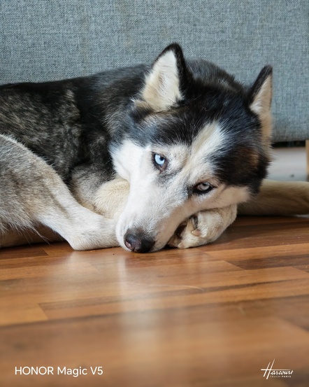 Honor Magic V5