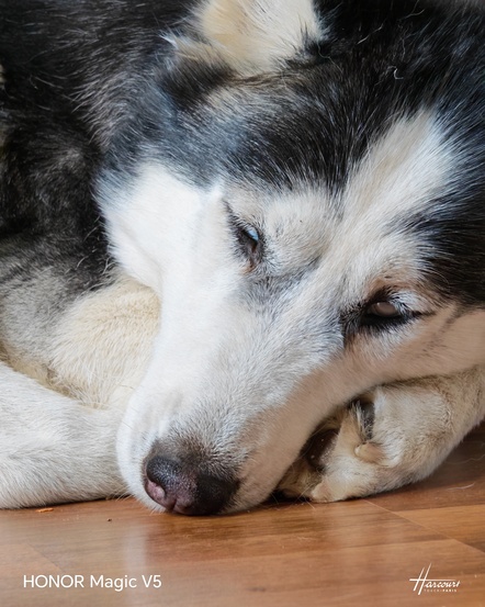 Honor Magic V5