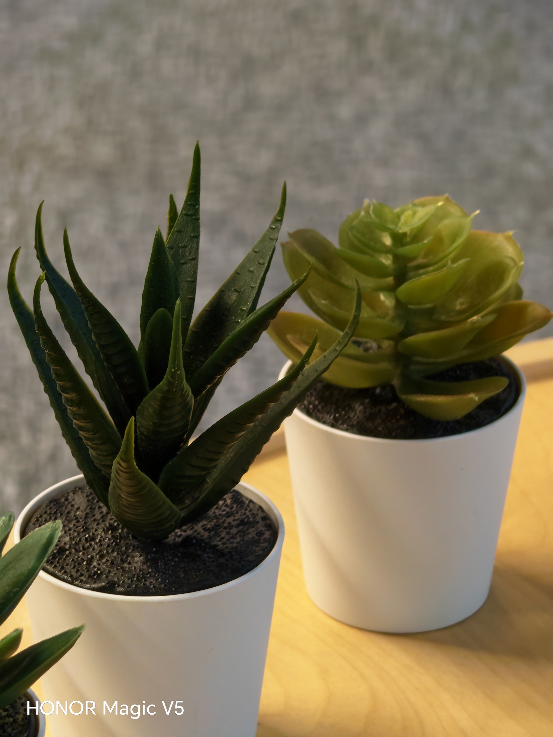 Honor Magic V5