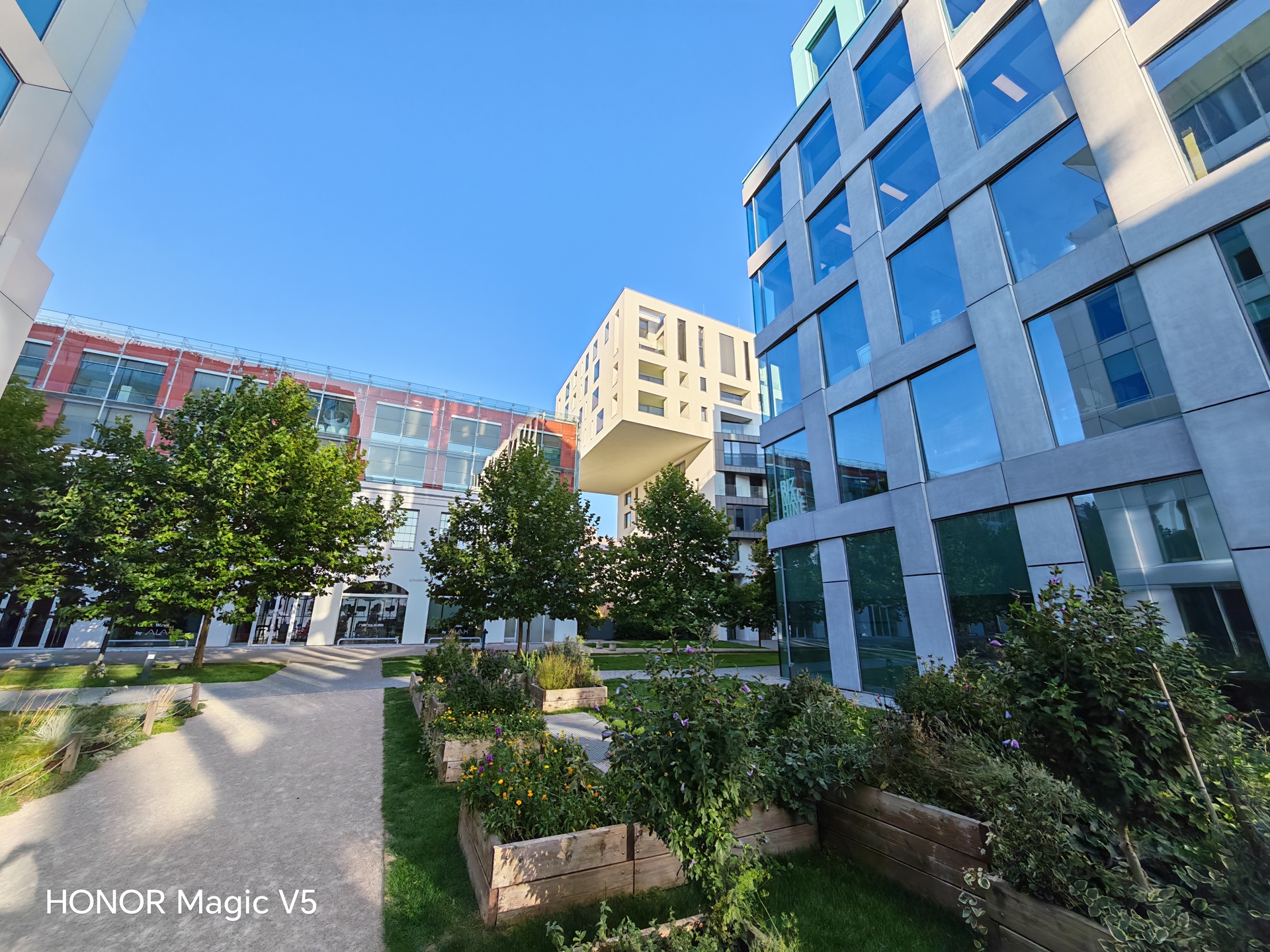 Honor Magic V5