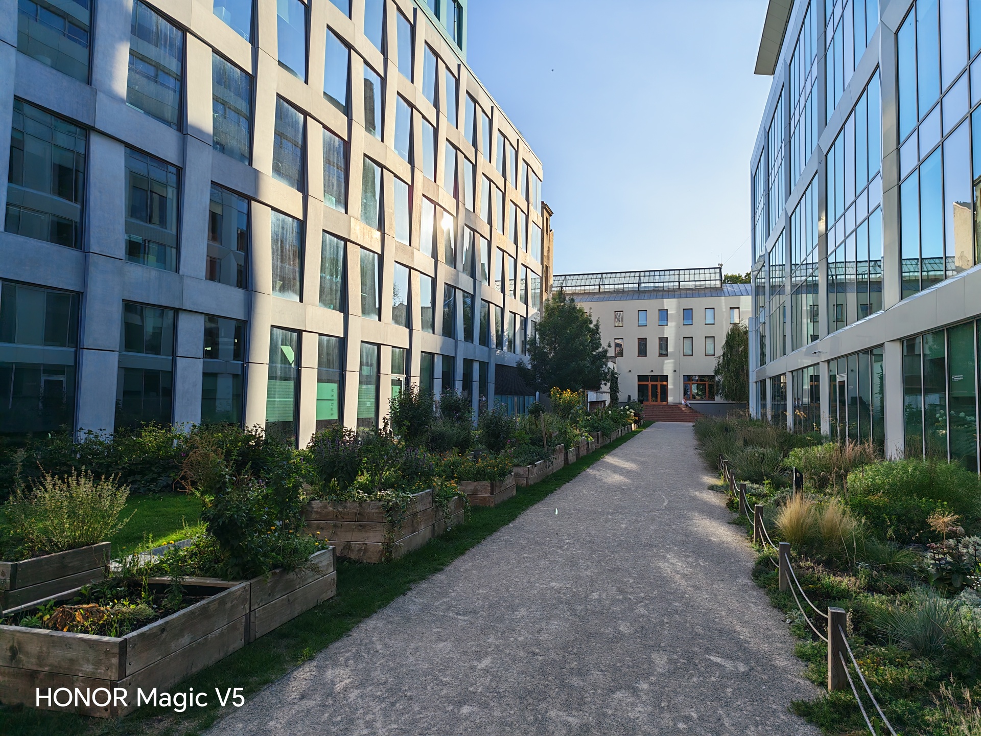Honor Magic V5