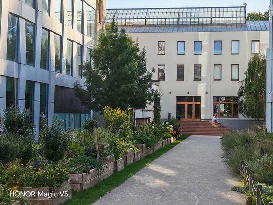 Honor Magic V5