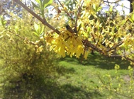 HTC Desire 10 Lifestyle