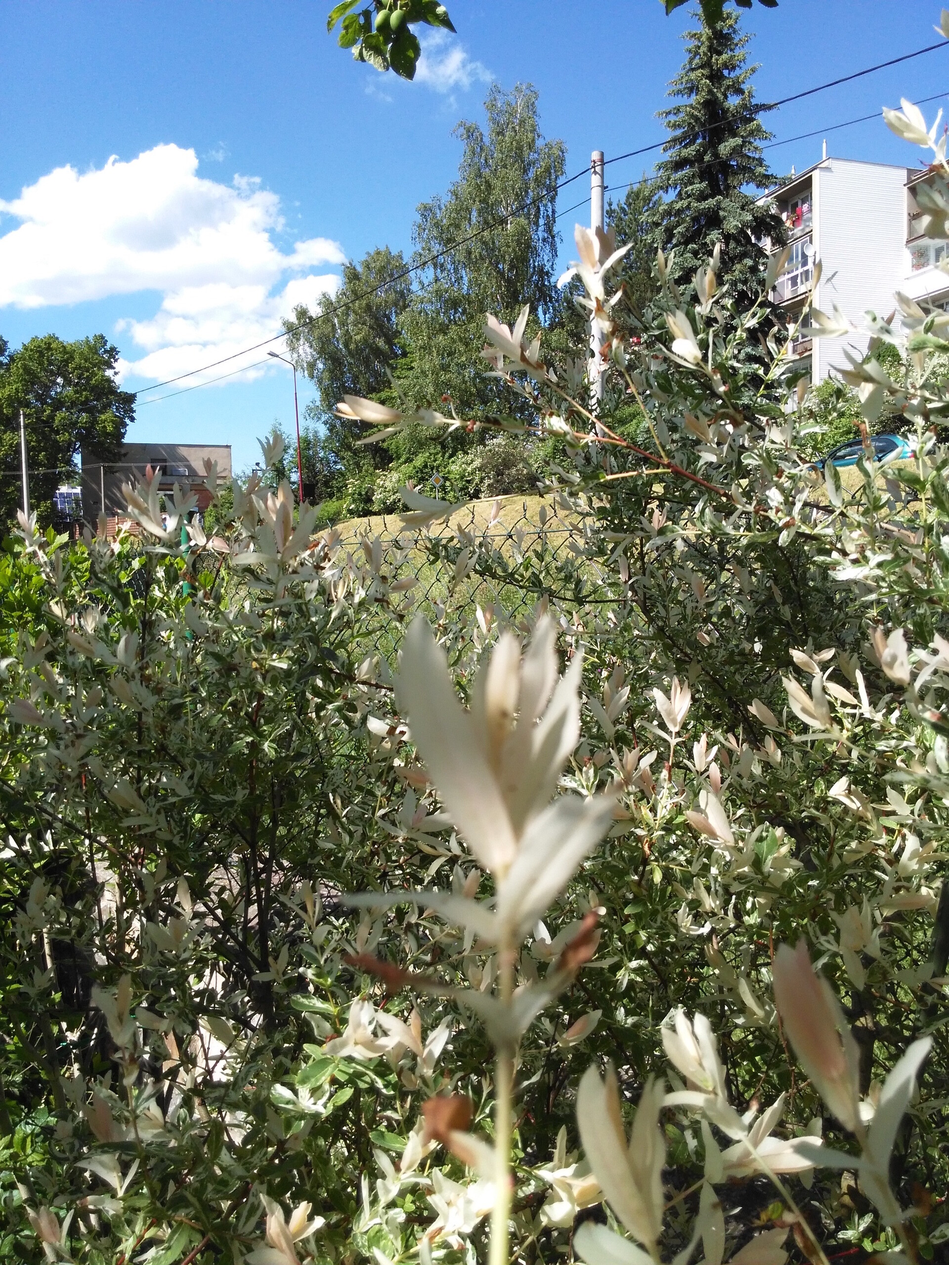 Huawei Ascend G6 LTE