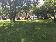 Huawei Ascend G6 LTE